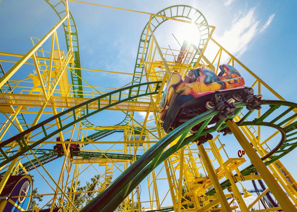 Wild Mouse