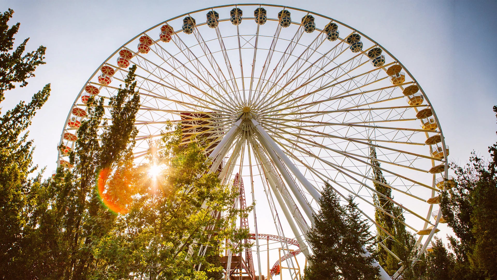 50+ Rides